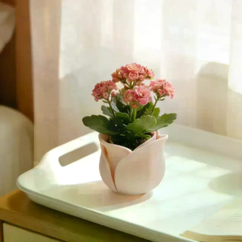 Rose Shape Basin Flowerpot Creative Mini Plant Pots For Daily Gardening Home Decoration Flowerpots Qme