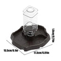 Reptile Water Feeder 1 Detachable Waterer Terrarium Tank Food Feeders Qme Chocolate China Mainland