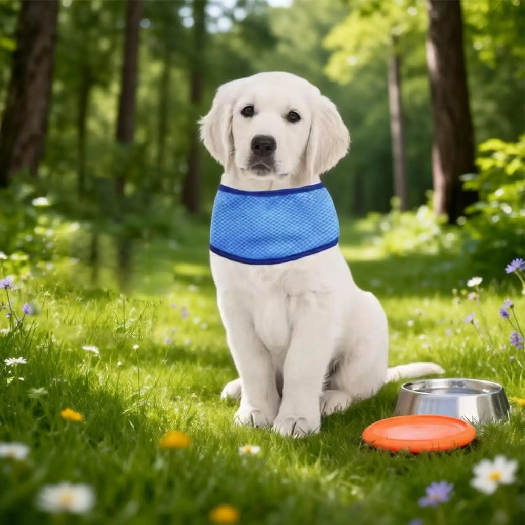 Dog Cooling Collar Reusable Puppy Bandana Dog Cool Down Bandana For Pet Parents Animal Lovers Trainers Park Lawn Yard Daily Wear Qme