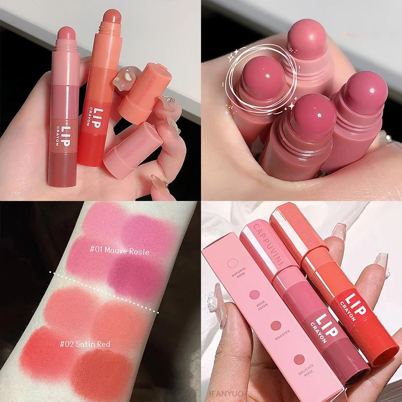 Mini Lipstick Set Matte 4 Colors Lipstick Combination 4 Sections Velvet Grapefruit Red Lip Pigment Non-stick Cup Lip Gloss kit Qme