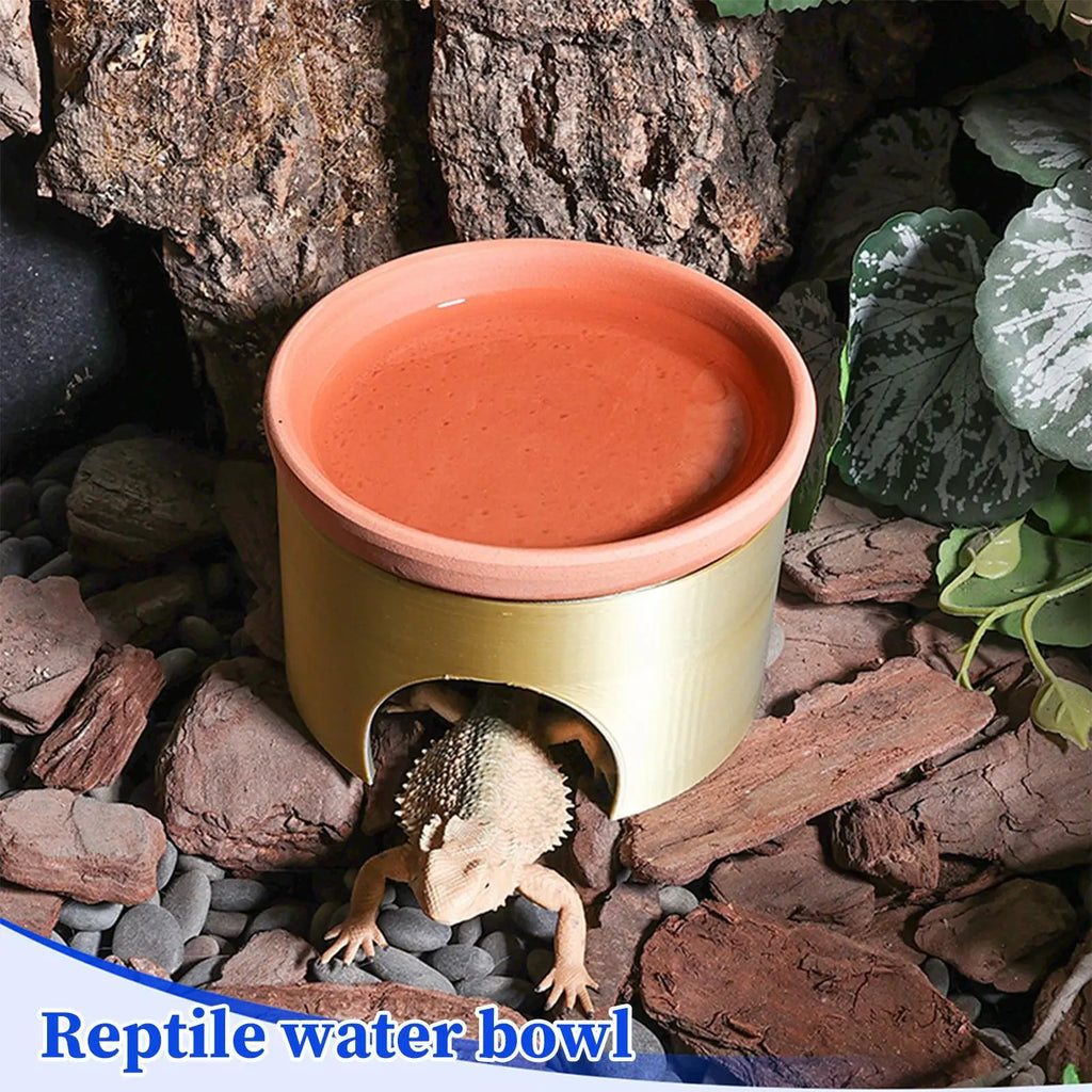 Small Snake Cave 2-in-1 Reptile Habitat Bearded Dragon Food Tray Qme