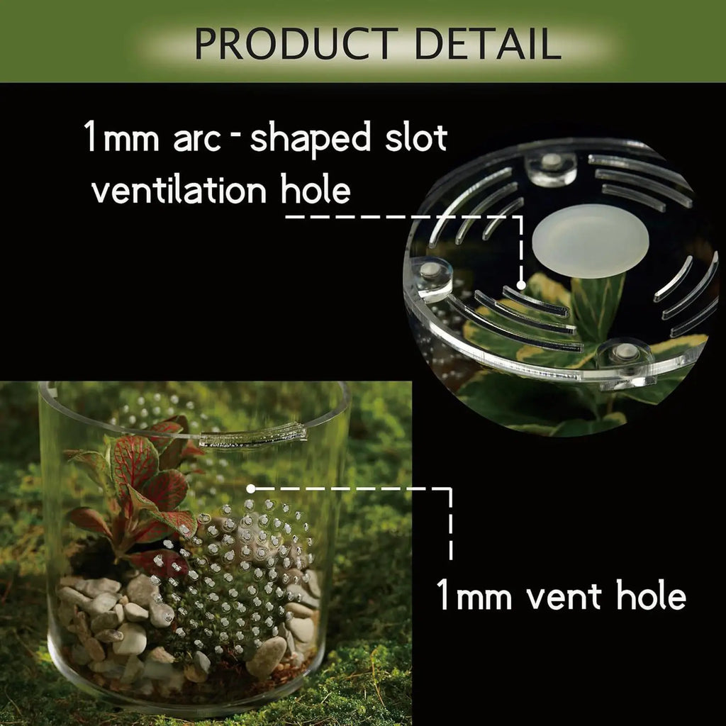 Tarantula Enclosure 10 2x10 Clear Acrylic Escape Proof Ventilation Qme