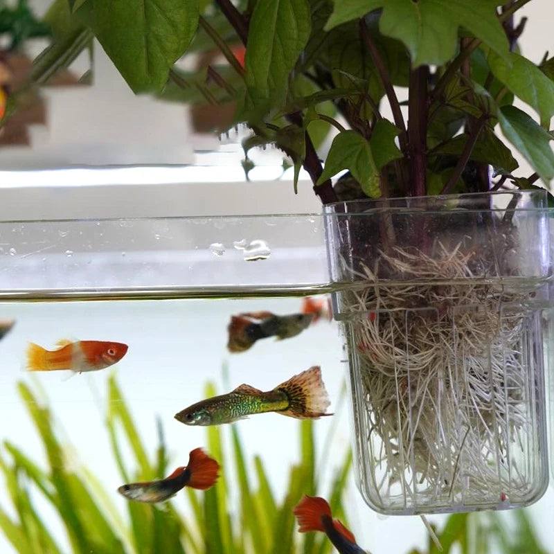 Fish Tank Landscape Decoration Hydroponic Planting Cup Household Qme