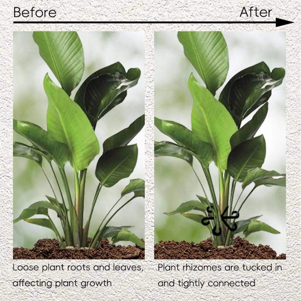 Plant Support 4PCS Climbing Plant Stem Holder Hooks Fixing Clips for Supporting Climbing Alocasia Monstera Vines Flowers Qme