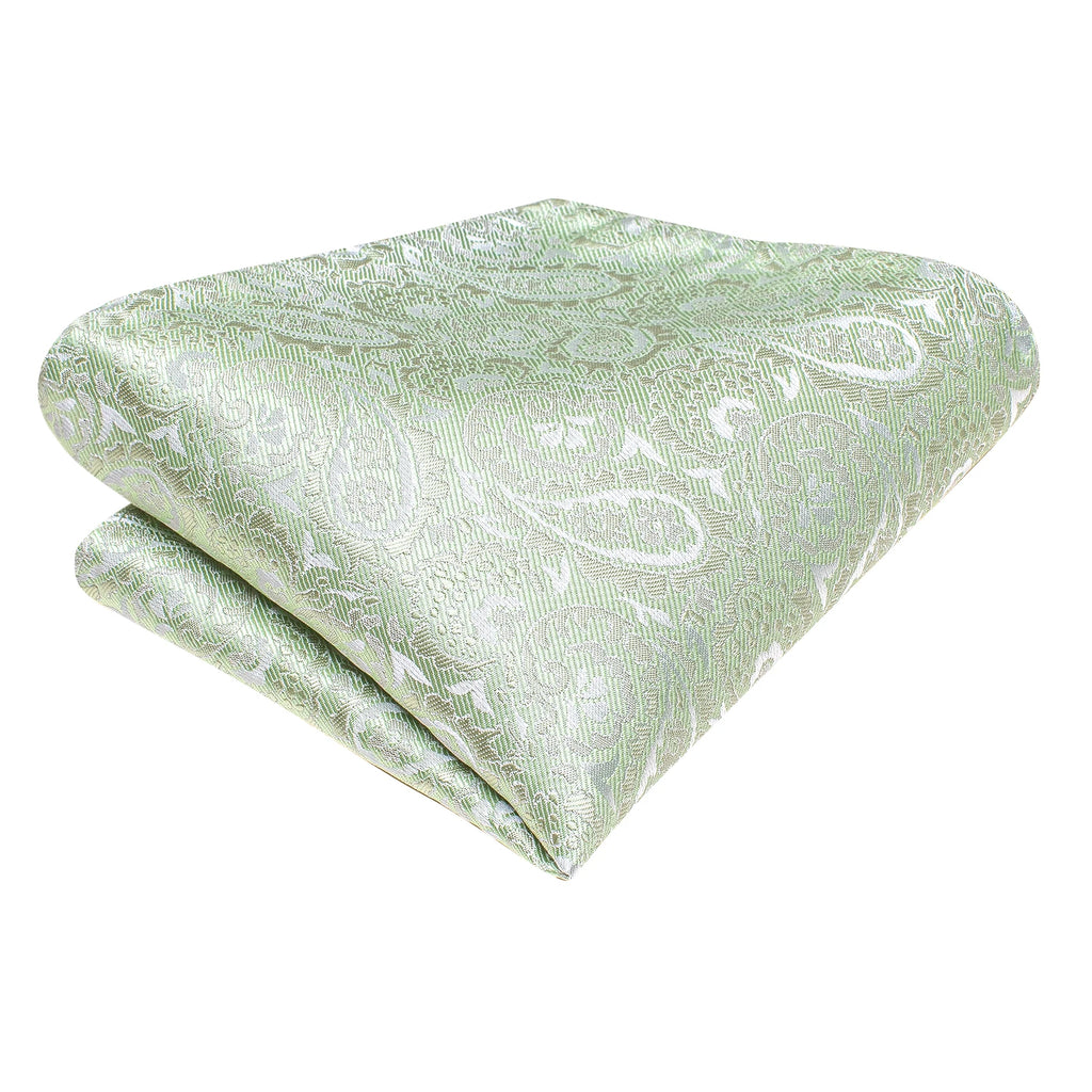 Hi-tie Luxury Box Light Green Paisley Jacquard Pattern Soft Men's Qme