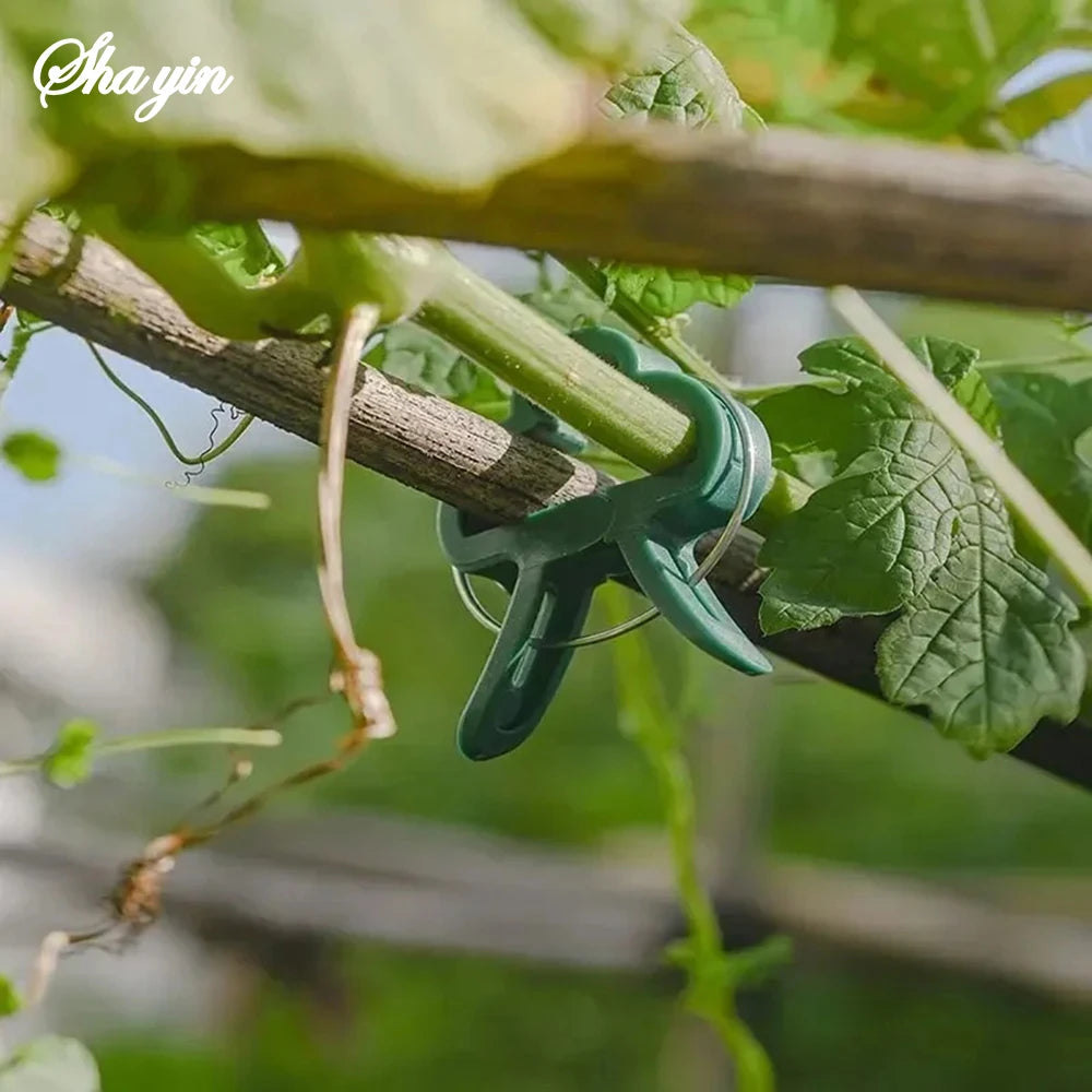20PCS Garden Butterfly Orchid Garden Set Tomato Plants Clip Plastic Clips Gardening Tools Qme