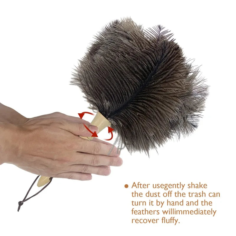 Natural Fluffy Ostrich Feather Duster Handle Reusable Furniture Qme