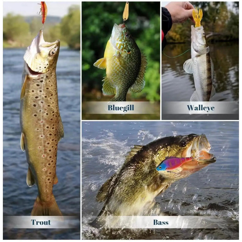 Fishing Lure Calendar Advent 2025 24-Day Fish Bait Party Favors Qme