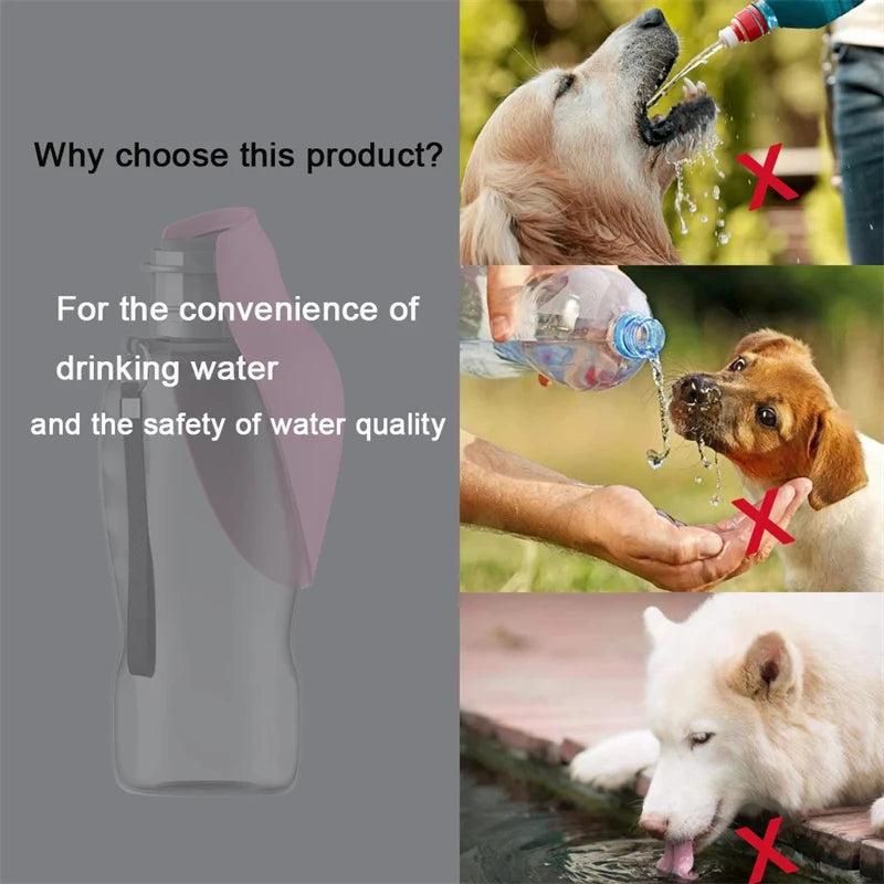 800ml Portable Dog Water Bottle For Small Large Dogs Cat Outdoor Leakproof Walking Drinking Bowls Chihuahua Bulldog Supplies Qme