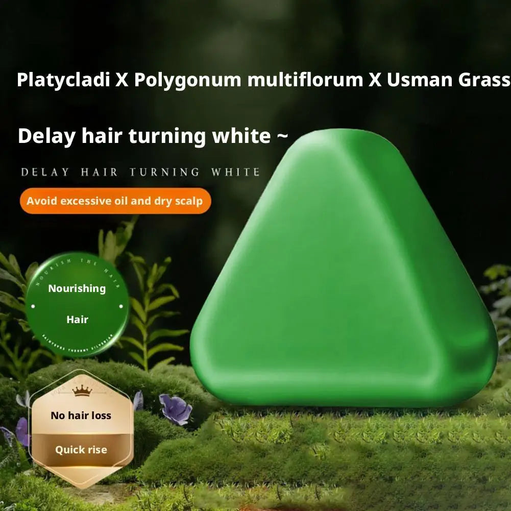 Shampoo Bar Platycladus Orientalis Natural Herbal Soap Hair Loss Qme