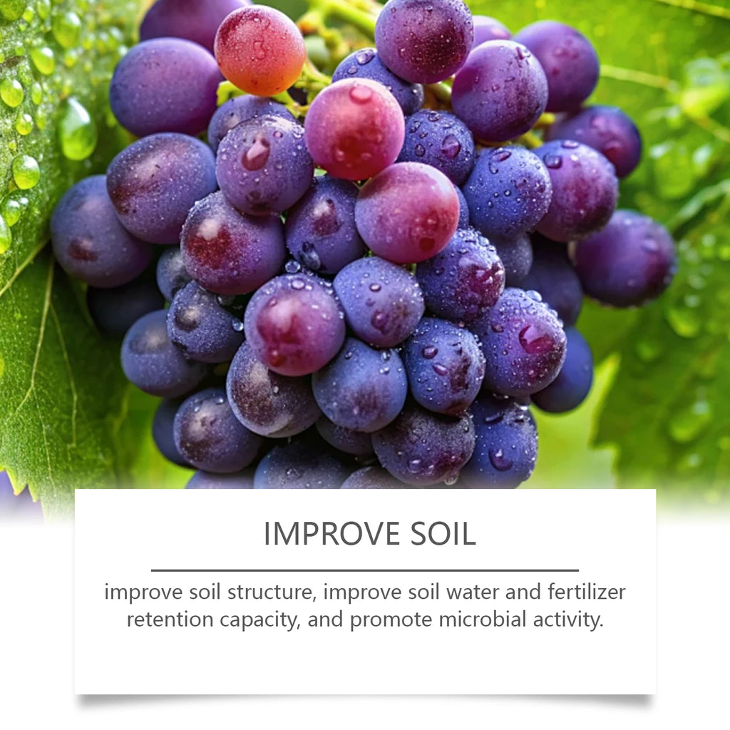 Tomato and Flower Nutrient Solution, Gardening Flower Fertilizer, Promotes Flowering, Planting Nutrient Solution Qme