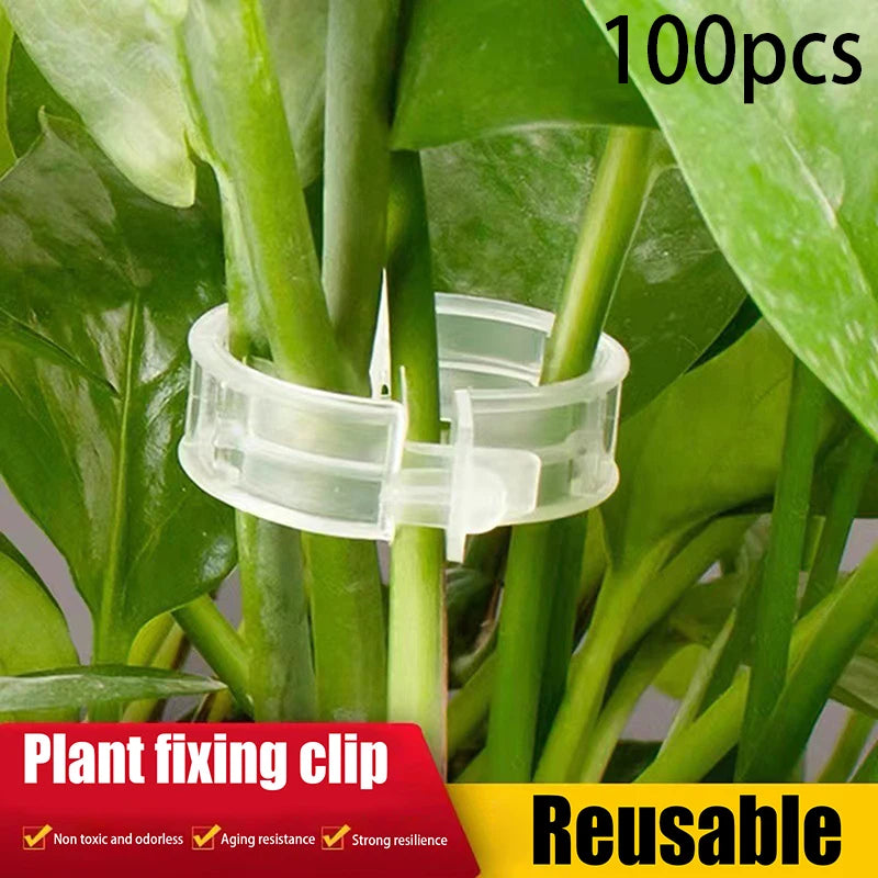 .100Pcs Secured Plastic Plant Clip Upgrade Plant Support Clips Garden Clips For Climbing Plants Support Clips Plant Fixing Clips Qme