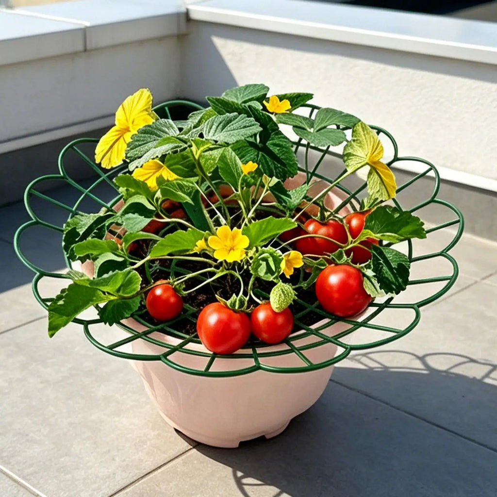 Strawberry Plant Protector Tomato Trellis Stand Boost Ventilation Strawberry Growing Rack for Balcony Outdoor Yard Patio Orchard Qme