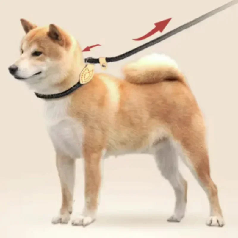 B 1.5M Dog Leash Slip Rope Lead Leash Heavy Duty Braided Rope Adjustable Loop Collar Training Leashes for Medium Large Dogs Qme
