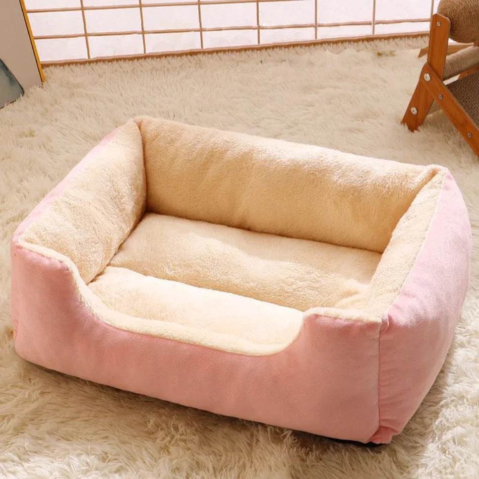 Bed for Cats Pet Products Cushions Kitten Goods Accessories Dog All Houses Supplies Things Accessory Habitats Basket House Beds Qme