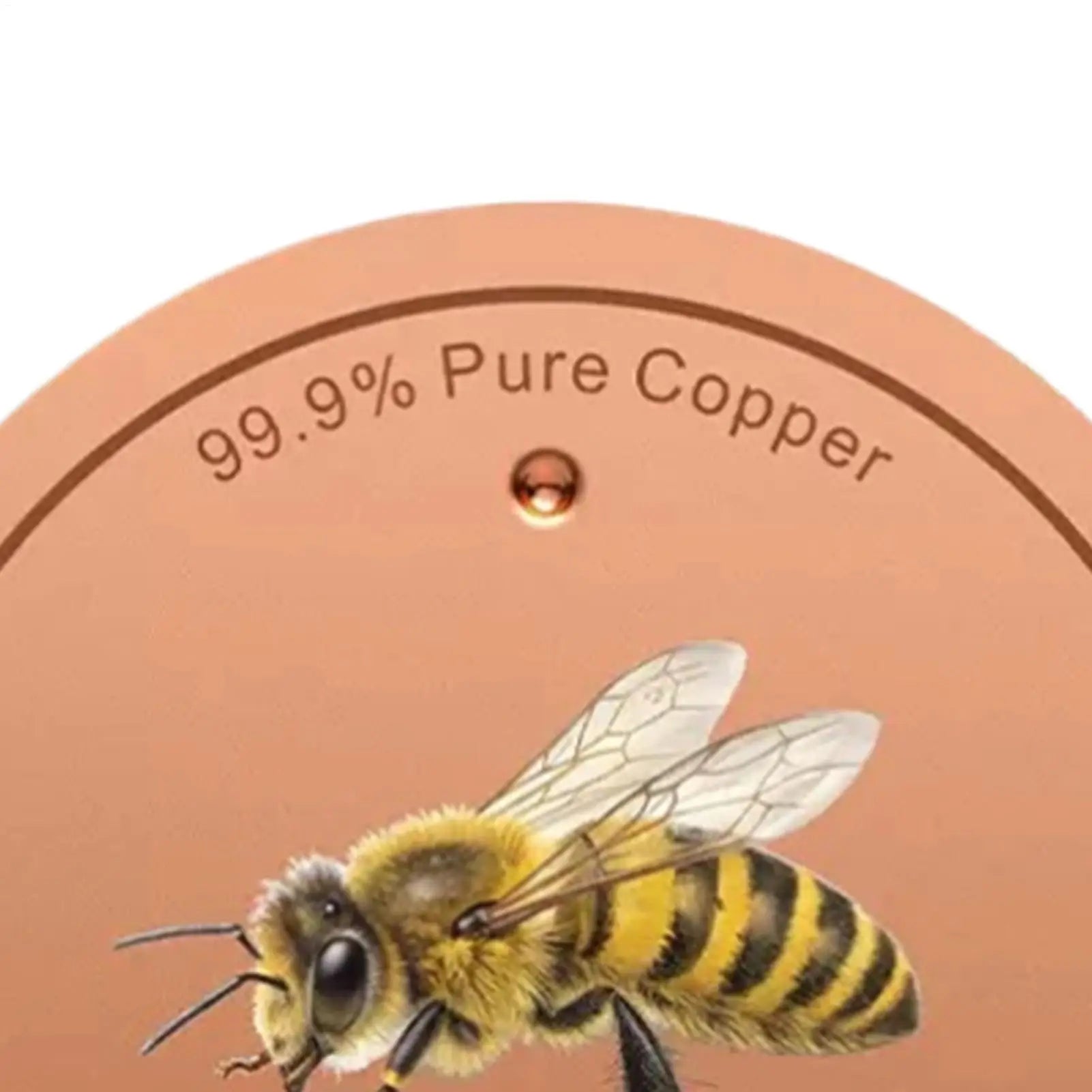 Bird Bath Purification Disk Bee Pattern Filtration Ornaments Metal Bird Bath Purification Disk For Outdoor Garden Deck Patio Qme