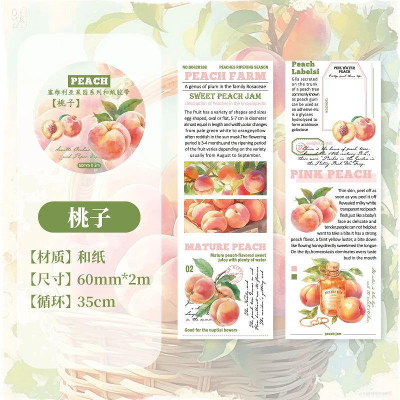 60mm*200cm Lemon Fruit Theme PET Tape Diary Planner Decor Junk Journal Scrapbooking School Supplies Collage Stationery Tapes Qme F