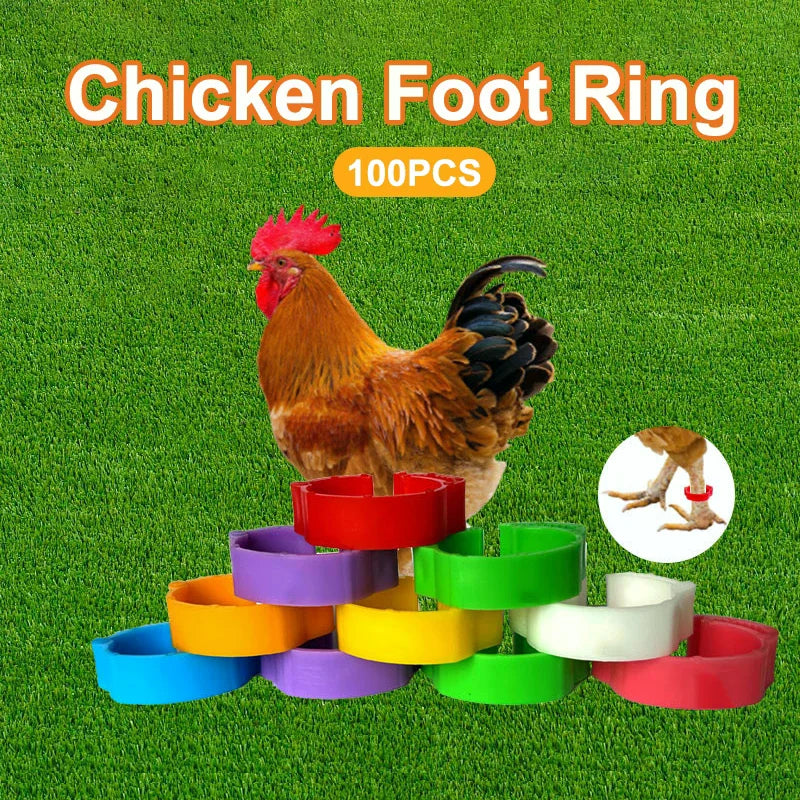 100Pcs 16~18.5mm Chicken Foot Rings Adjustable Poultry Leg Snap Ratchet No Number Buckle Clip Chick Duck Goose Pigeon Raising Qme