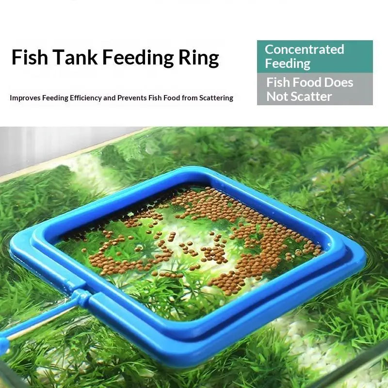 Aquarium Feeding Ring Fish Tank Floating Food Tray Feeder Square Qme
