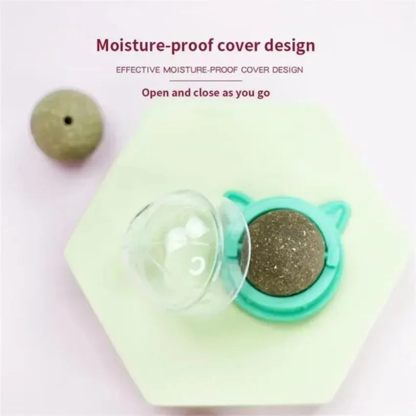 Rotating Catnip Ball Cat Shaped Pet Grinding Toy Interactive Licking Cats Scratch Ready To Eat Toy Ball Pet Supplies Wholesale Qme