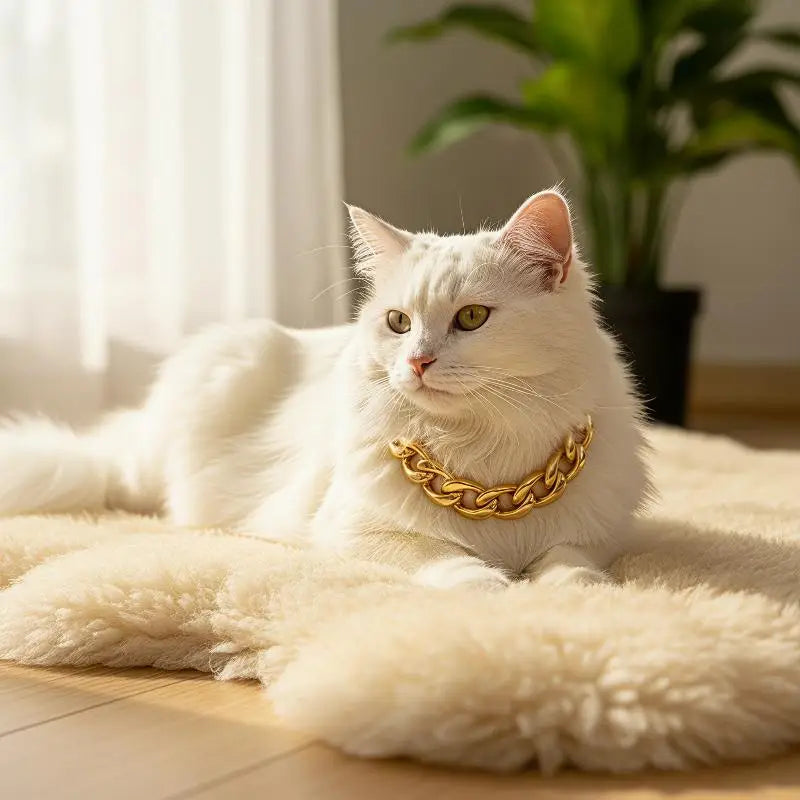 Dog Chain Cuban Collar Walking Metal Chain Collar With Design Secure Buckle Pet Cat Cuban Collar Jewelry Accessories Qme