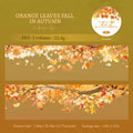 1 Roll Autumn Fall Leaves Pattern Tape for DIY Scrapbook Journal, Phone Case Decoration, Gift Wrapping & Craft Collage Qme 4