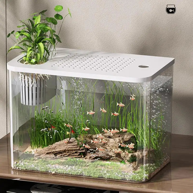 Fish Tank Aquarium Transparent Turtle Bowls Small Aquariums Qme