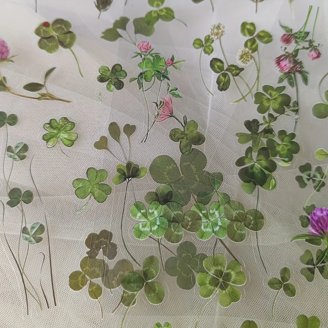 6 pcs/pack PET Plants Flowers Stickers DIY Scrapbooking Planner Decoration Collage Diary Supplies Aesthetics Stationery Sticker Qme