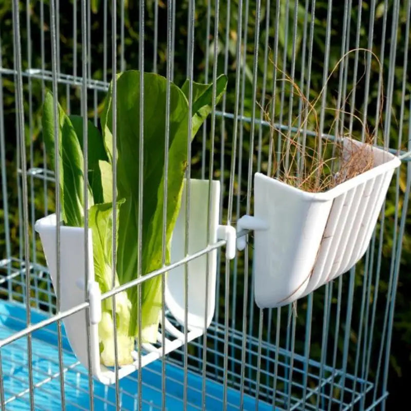 5 Vegetables Basket Feeder Device Bird Supplies Cage Accessoriesbird Qme