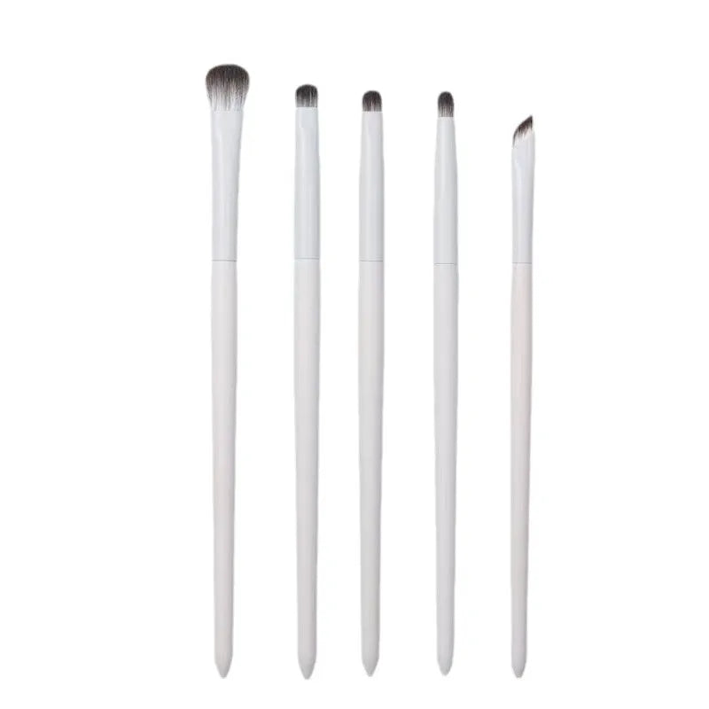 Eye Shadow Brush Beginners Including Application Under-eye Liner Qme