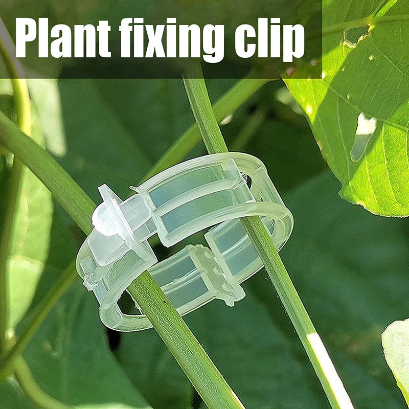 .100Pcs Secured Plastic Plant Clip Upgrade Plant Support Clips Garden Clips For Climbing Plants Support Clips Plant Fixing Clips Qme Default Title