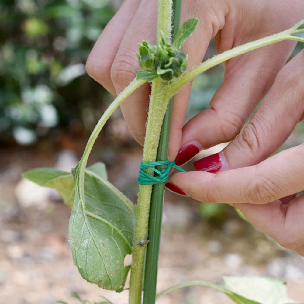 1 Roll/100M Multifunctional Plastic Steel Twist Tie Sturdy Reusable Garden Flower Plant Support Strap Tie Qme