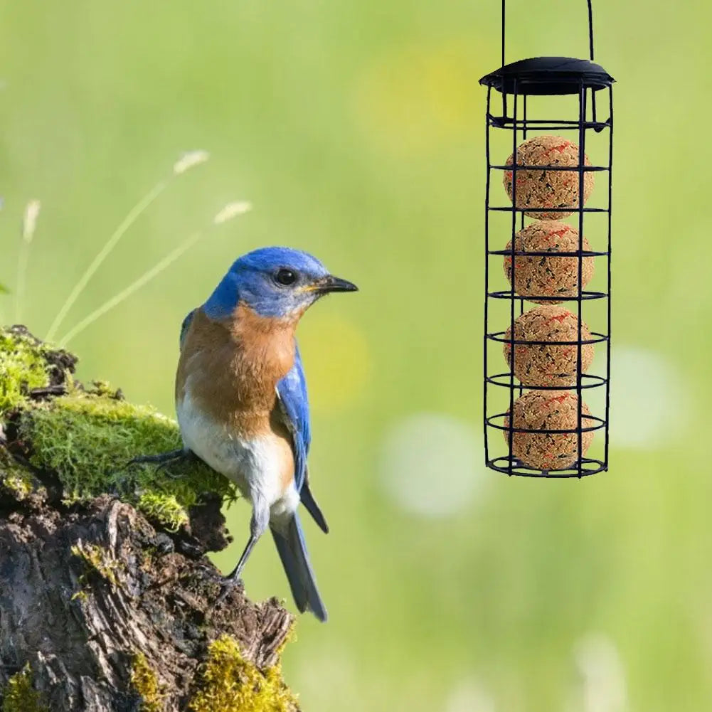 Hanging Wild Bird Feeder Dumplings Grease Ball Rack Outside Hanging Bird Feeders Bird Feeder Dumplings Grease BallRack Outdoor Qme