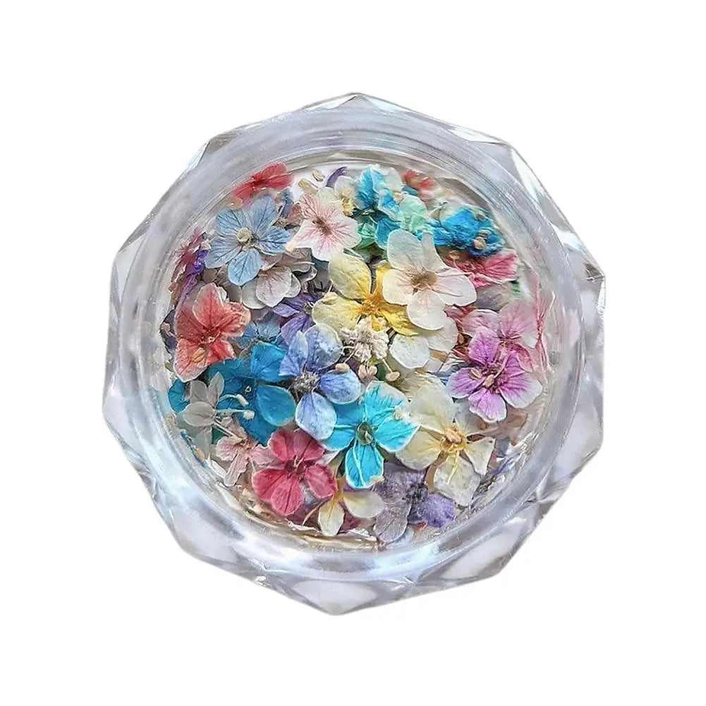 1 Box 3D Dried Flowers Nail Art Stickers Decals Mix Tiny Floral Petals Colorful Flower For Nails Crafts DIY Manicure Decorations Qme E CN