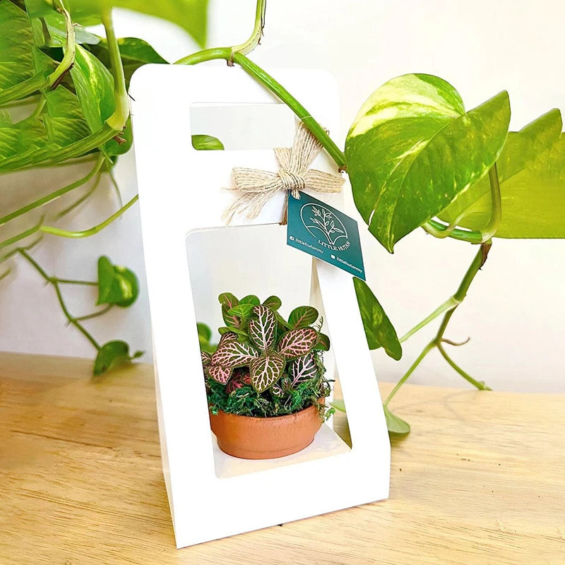 Water Proof Kraft Paper Portable Flower Basket Bouquet Handle Carton Qme