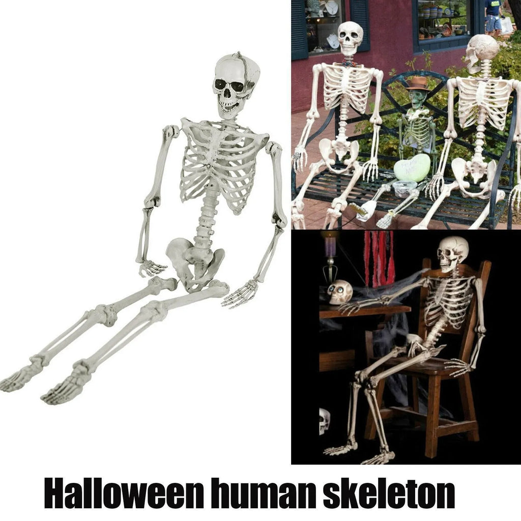 Halloween Skeleton Decors Full Body Faux Human Skeleton Decoration Props Festival Decorations White Skull Frame Qme