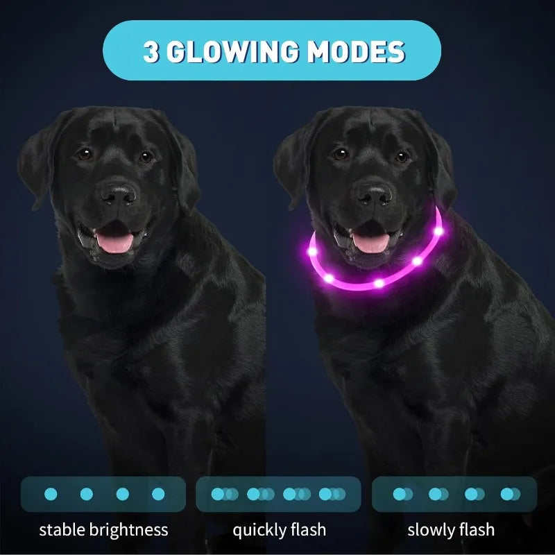 Dog collar LED USB charging light adjustable safety light, pet collar for walking dogs at night, illuminated collar Qme