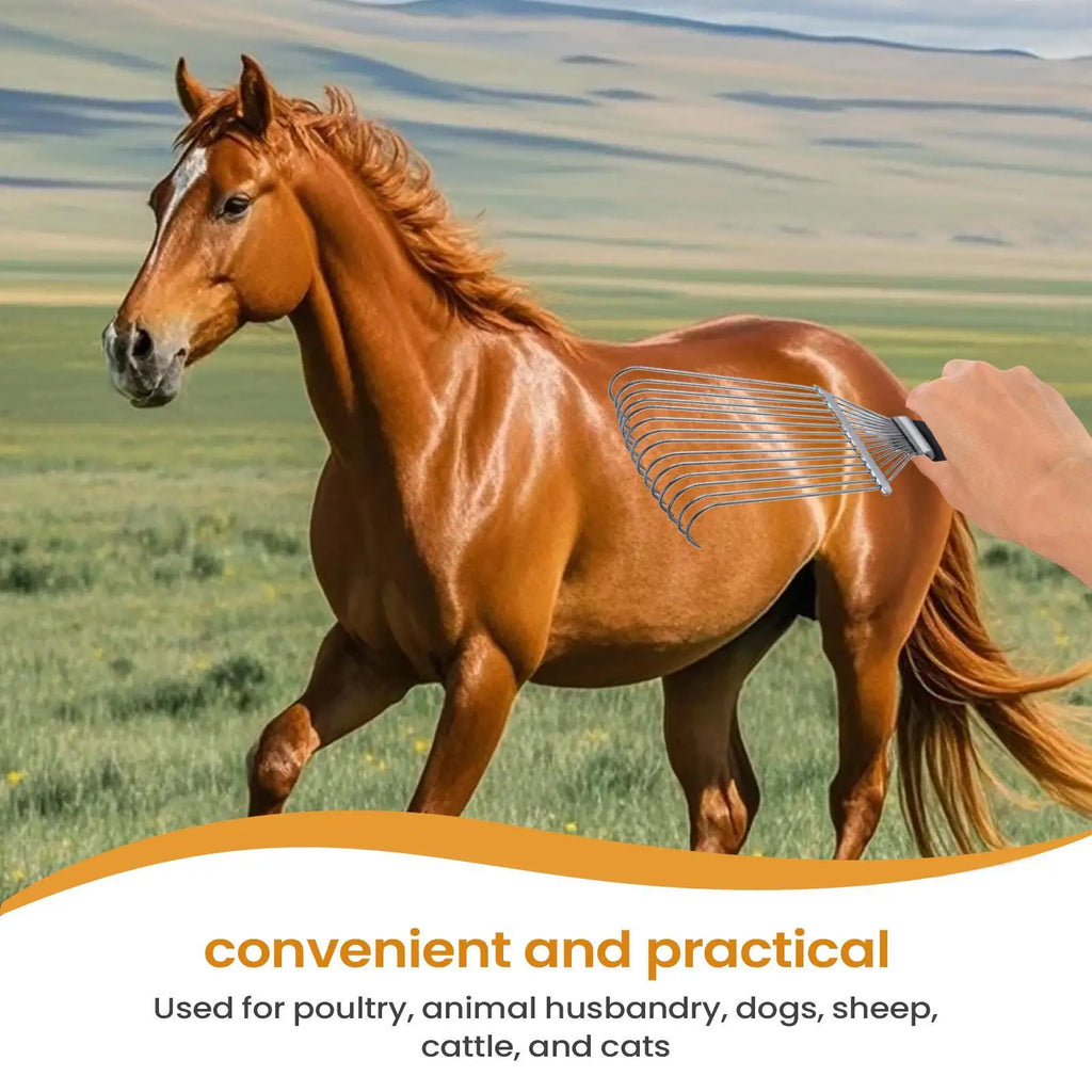 Horse Grooming Rake Undercoat Back Scratcher Ergonomic Steel Cashmere Qme China Mainland