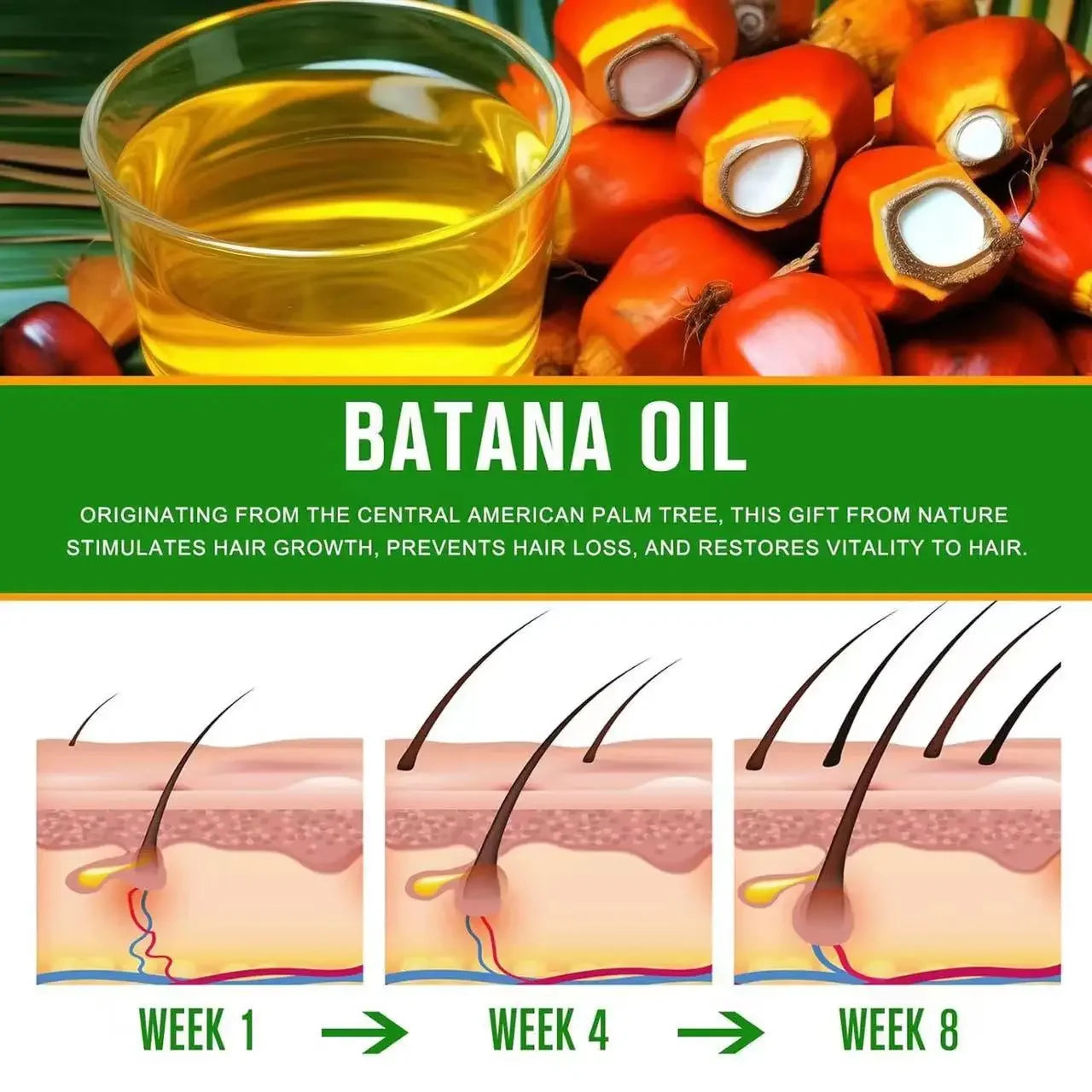 Raw Batana Oil Hair Growth 100 Natural Can Prevent Loss Both Men Qme