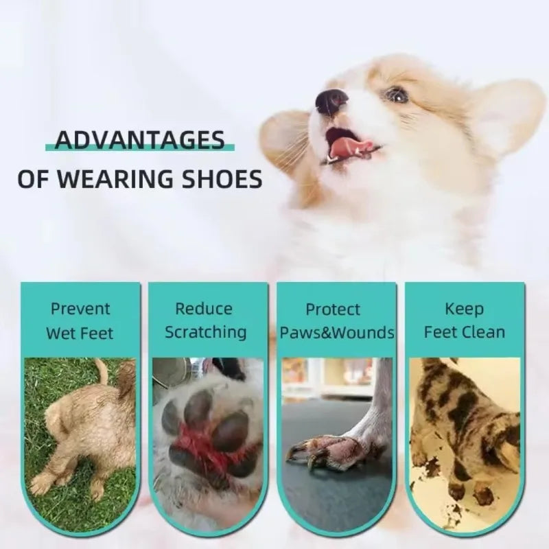 20 sets of disposable dog boots with 1 self-adhesive bandage roll, suitable for indoor and outdoor paw protection shoe covers Qme