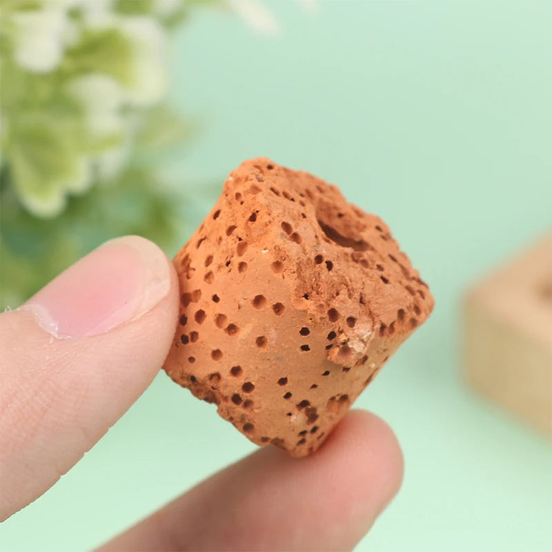 10Pcs Plant Ring Aquarium Fixed Watertank Filter Weightsholder Plants Fixing Tool Aquatic Media Pottery Gravityceramic Rings Qme Orange