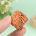 10Pcs Plant Ring Aquarium Fixed Watertank Filter Weightsholder Plants Fixing Tool Aquatic Media Pottery Gravityceramic Rings Qme Orange