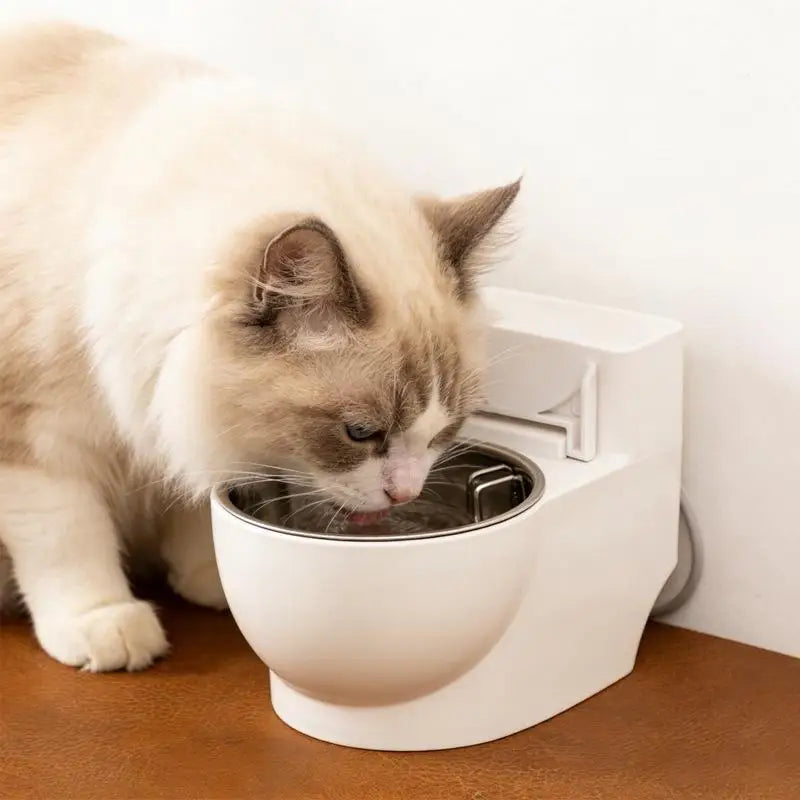 Cat Dog Bowl Removable Stainless Steel Pet Drinking Water Dispenser Qme