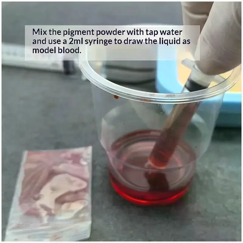 Injection Training Nurses Intravenous Model Transfusion Venipuncture Qme