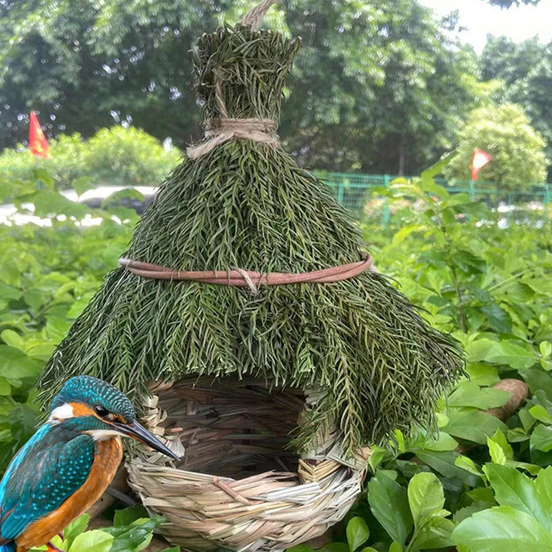 Hummingbird House Garden Outdoor Decoration Window Hideaway Unique Qme