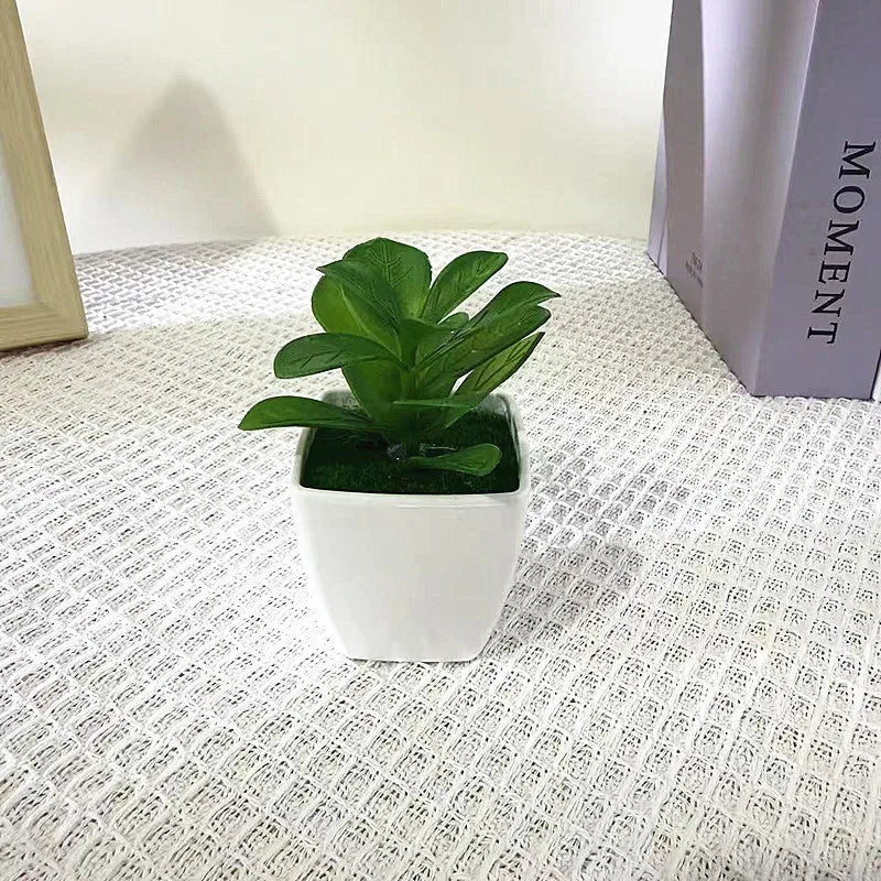 Faux Cactus Arrangements Small Imitation Foliage White Square Planter Qme sensitive plant