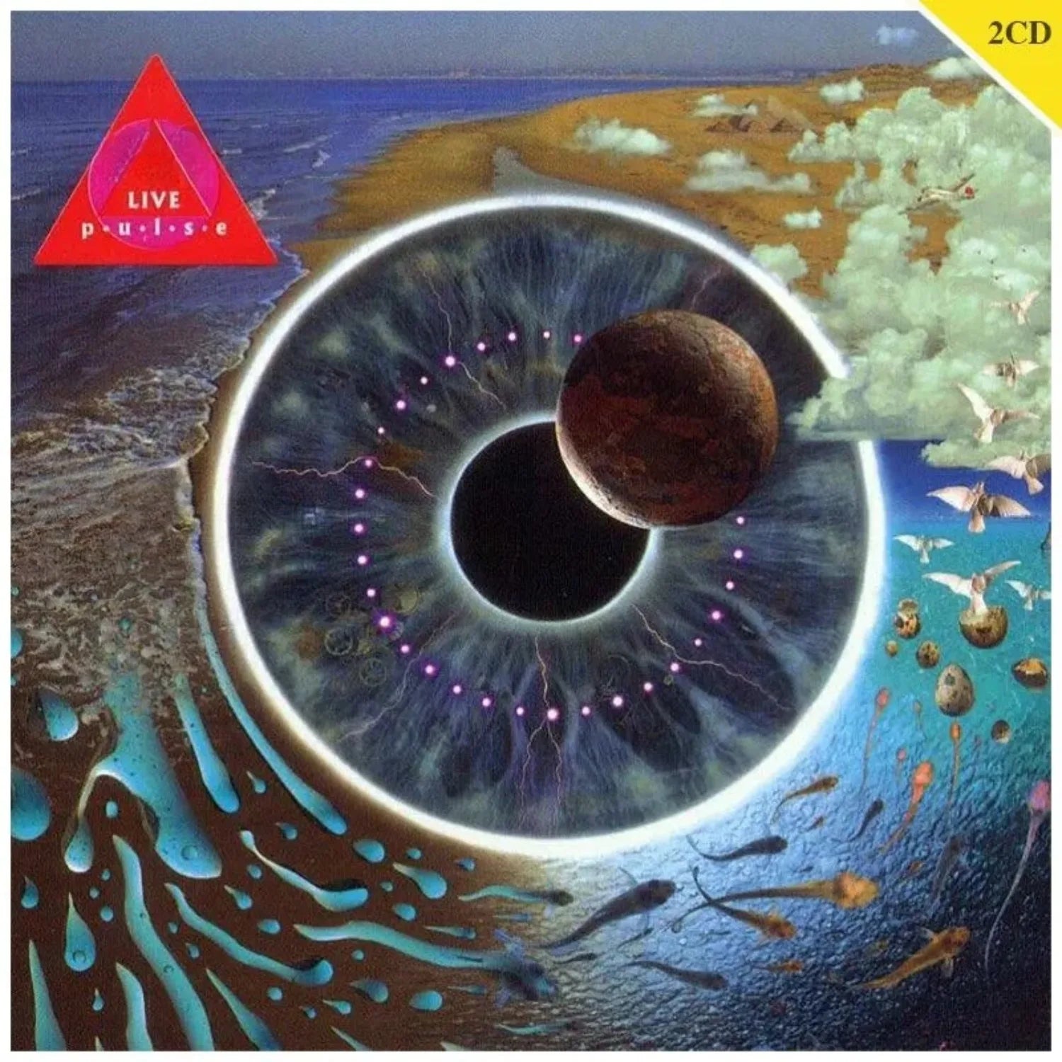 Psychedelic Rock Live 2CD Set, Album "P·u·l·s·e", Immersive Soundscape Performance, Experimental Arrangement Included，CD Only Qme P u l s e