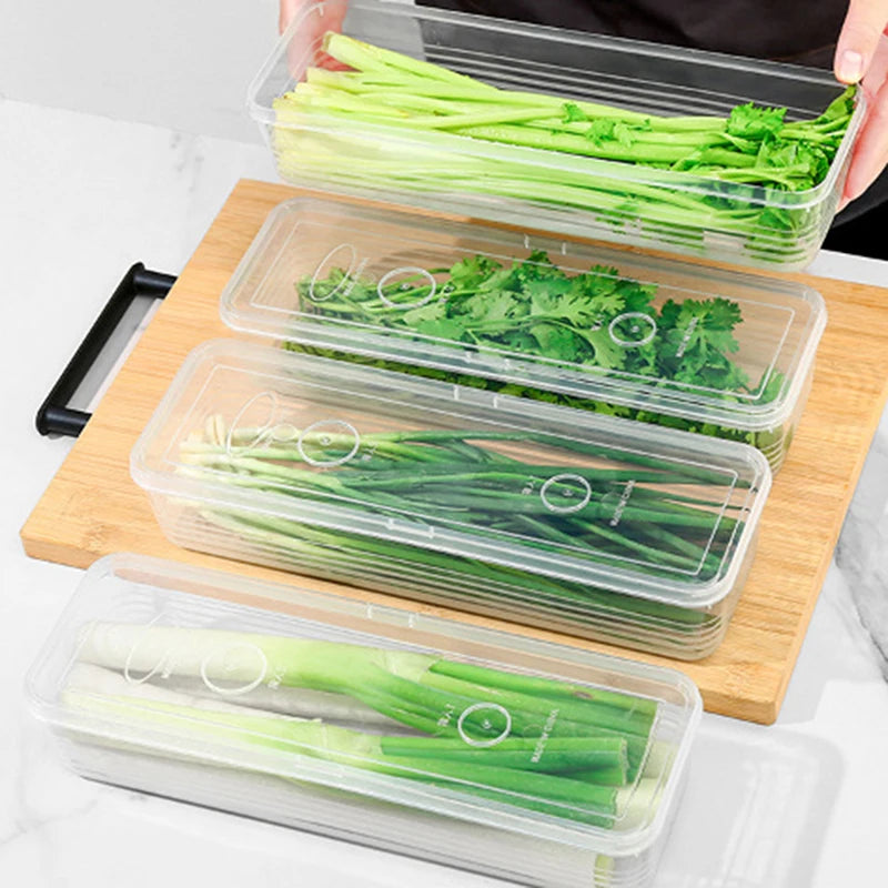 Storage Crisper Sealed Fridge Organiser Refrigerator Boxes Scallions Qme