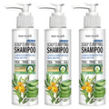 Sulfate Free Scalp Clarifying Shampoo with Tea Tree & Arnica - Cleanses & Hydrates Dry Scalp for All Hair Types Qme Smoothing & Straightening