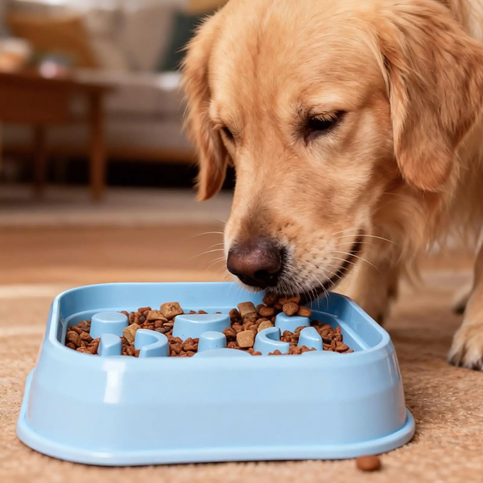 Slow Feeding Dog Bowl Non-slip Puzzle Cat Dish Feeder Water Small Qme